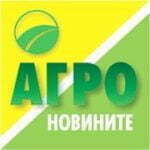 лого