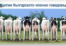 2 част – Сп. “Агропари”/ Михаил Михайлов: Да защитим българското мляко