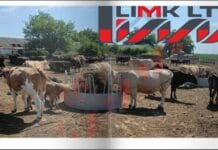 ЛИМК ООД: Кръгла пасищна хранилка за говеда 🐮