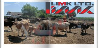 ЛИМК ООД: Кръгла пасищна хранилка за говеда 🐮