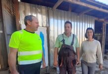 На гости на колега от РС Македония – Ветеринар с овцеферма и мандра