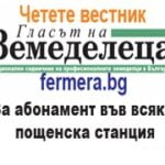 лого