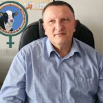 хора, галин