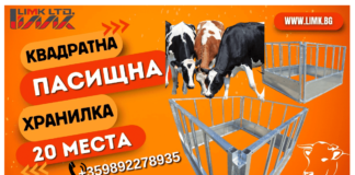 ЛИМК България – Квадратна пасищна хранилка с 20 места