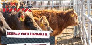 „Limk Bulgaria“ Ltd: Система за теглене и обработка на месодайни животни