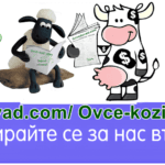 лого