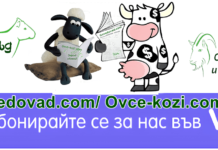 Присъединете се във вайбър към групата ни – Govedovad.com / Ovce-kozi.com
