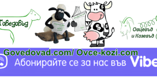 Присъединете се във вайбър към групата ни – Govedovad.com / Ovce-kozi.com