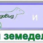 лого