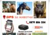 Пълен контрол над стадото – с GPS решенията на MyGPSing
