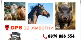 Специално за животновъди, които отглеждат животни пасищно