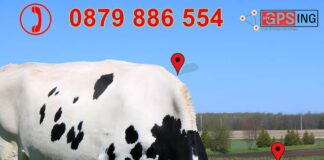 Върнете лесно у дома изгубени животни / 4G MASTER GPS Тракер