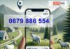 Защо фермерите преминават към GPS тракери за следене на животните си – повече сигурност, по-малко загуби!