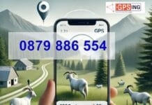 Защо фермерите преминават към GPS тракери за следене на животните си – повече сигурност, по-малко загуби!
