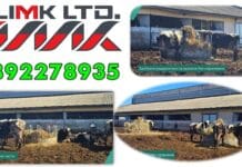 ЛИМК България/ LIMK Bulgaria – Хранене без напрежение