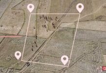 Дайте свобода на животните си с GPS технология от MyGPSing 4G Master