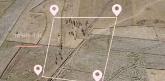 Дайте свобода на животните си с GPS технология от MyGPSing 4G Master