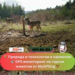 reklama proslediavane