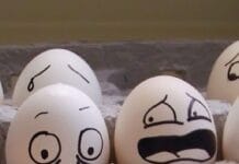 Жълтъкът или белтъкът – кое да изберем