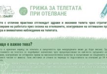 Семинар/ Грижа за телетата при отелване