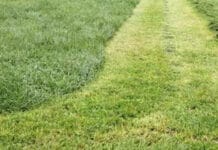 Употребата на PFAS пестициди се увеличава, въпреки че продажбите на продукти намаляват