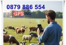 Край на ръчните проверки на стадото, винаги знайте къде е всяко животно с HerdMind