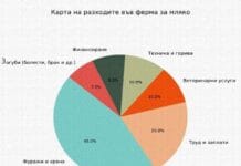 Финансовото око на фермата: как да разберем къде изтичат парите от млекопроизводството