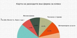 Финансовото око на фермата: как да разберем къде изтичат парите от млекопроизводството
