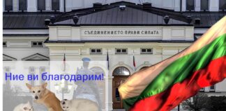 Наказателният кодекс вече защитава животните – категорично и окончателно