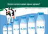 От две кофи до цял резервоар: Как се промени млечната крава за 120 години