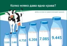 От две кофи до цял резервоар: Как се промени млечната крава за 120 години