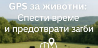 MyGPSing: Виртуалните огради дават нови възможности за управление на стадата