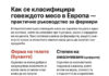 Как се класифицира говеждото месо в Европа – практично ръководство за фермери