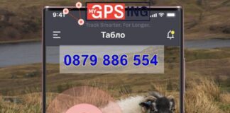 Как GPS проследяването подобрява управлението на стадото в отдалечени райони?