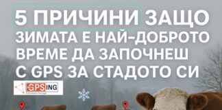 Когато снегът падне, MyGPSing държи стадото под контрол