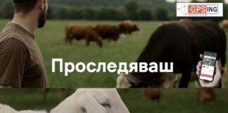 GPS, който връща стадото и спокойствието: решението на MyGPSing за модерния стопанин