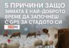 Спокойствието си има име — „MyGPSing“