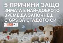 Спокойствието си има име — „MyGPSing“