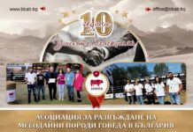 10 години АРМПГБ: Как месодайното говедовъдство в България изгради общност, генетика и визия за бъдещето