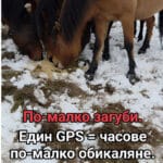 reklama (2)