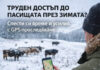 MyGPSing: Контрол върху животните дори при труднодостъпни пасища