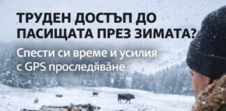 MyGPSing: Контрол върху животните дори при труднодостъпни пасища
