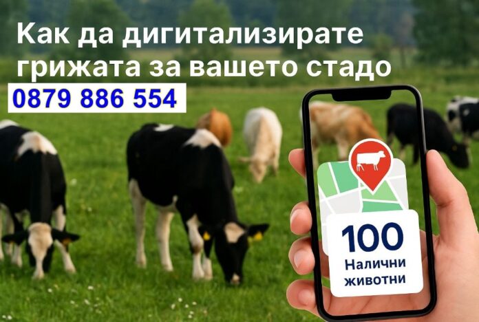 reklama