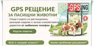 𝐌𝐲𝐆𝐏𝐒𝐢𝐧𝐠 – GPS решение за пасищни животни