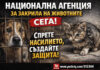 Петиция за създаване на Национална агенция за закрила на животните – нужен ли е обществен натиск за системно решение