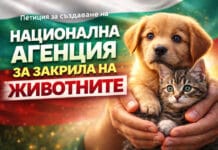 Създаване на Национална агенция за закрила на животните