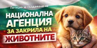 Създаване на Национална агенция за закрила на животните