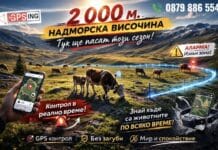 MyGPSing / GPS проследяване на животни – контролът, от който ще имаш нужда този пасищен сезон