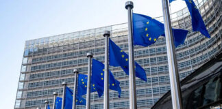 Европарламентът: животновъдството губи позиции, а фермерите искат действия