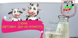 НСГБ: Честит Световен ден на млякото на всички млекопроизводители, млекопреработватели и любители на млякото